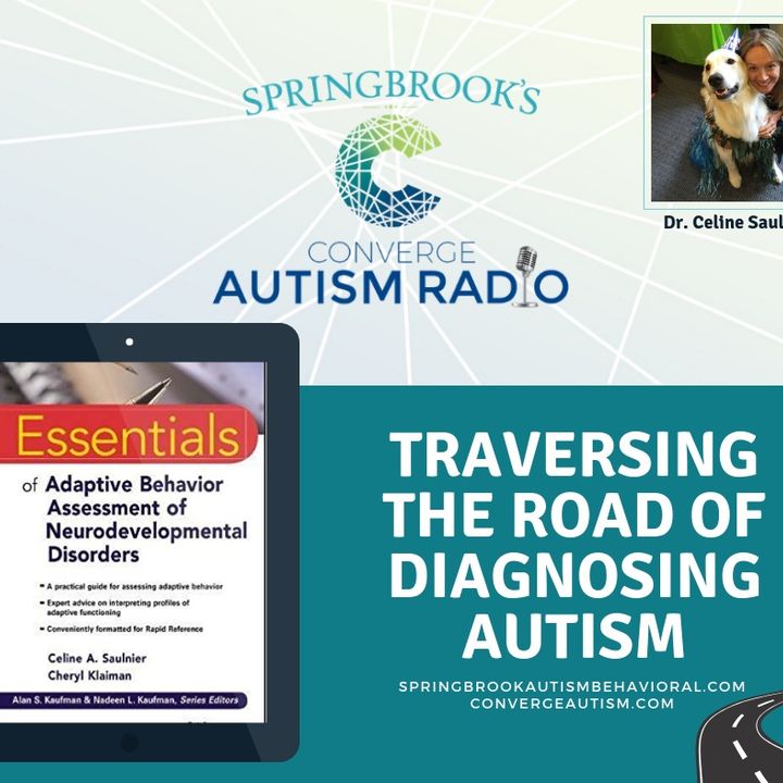 Traversing the Road of Diagnosing Autism with Dr. Celine Saulnier