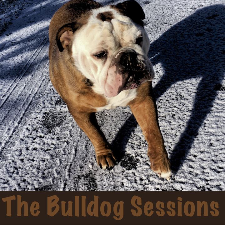 The Bulldog Sessions