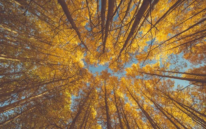 Robust Theology Fuels Ambitious Evangelism