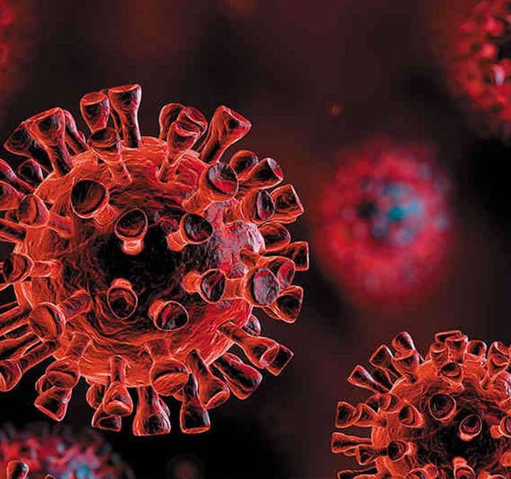 ¿El coronavirus se elimina al inhalar vapor a más de 50 grados?