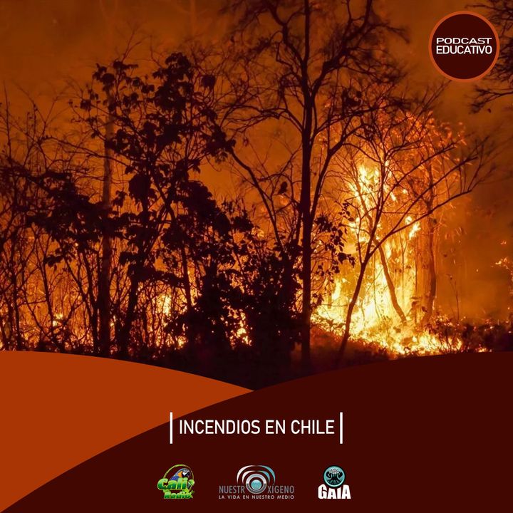 NUESTRO OXÍGENO Incendios en Chile - Claudio Vargas-Marisol Cabello