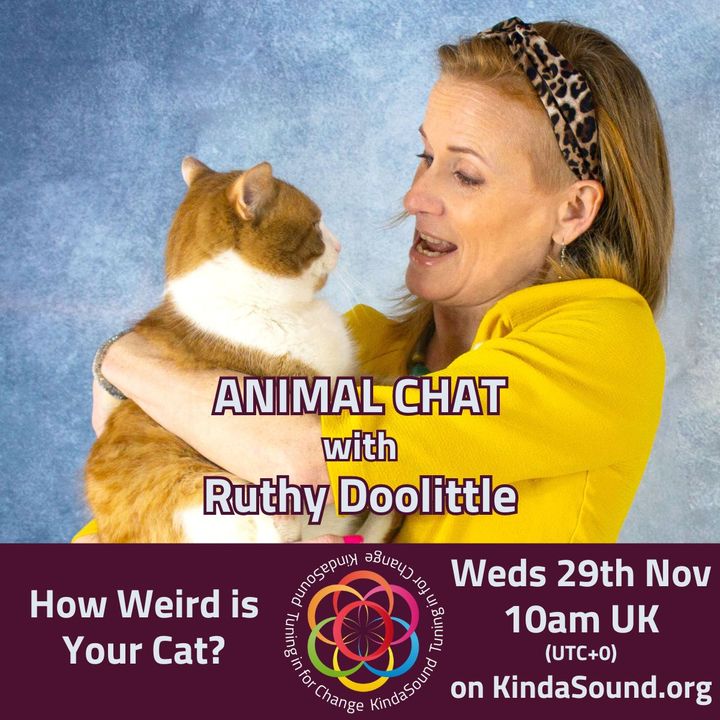 How Weird is Your Cat? | Animal Chat with Ruthy Doolittle (Ep. 4)