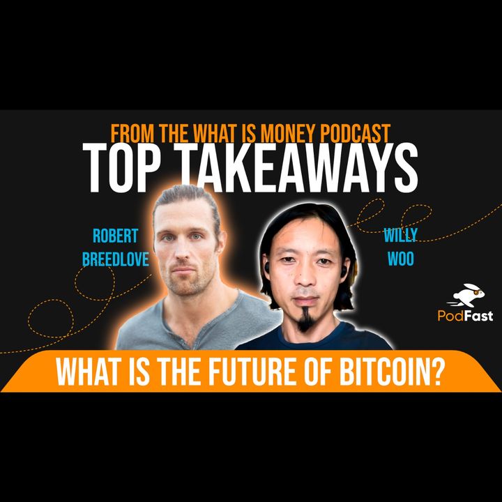 The Future of Bitcoin with Willy Woo | Ai Summary