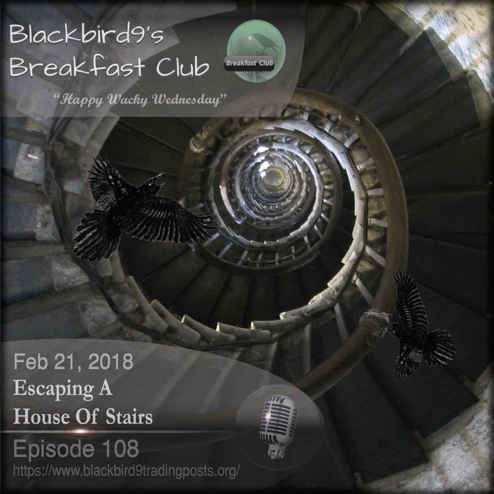 Escaping A House Of Stairs - Blackbird9