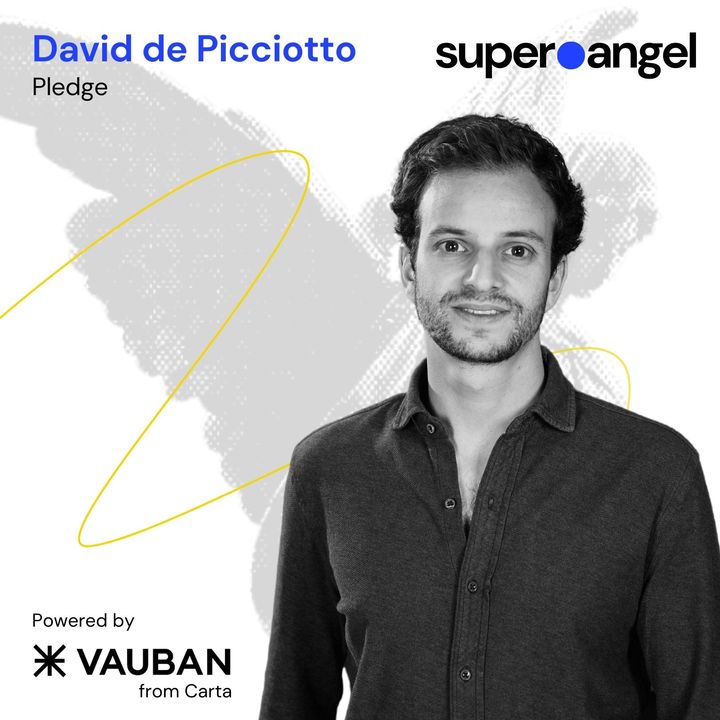 Super Angel #214 David de Picciotto, Pledge
