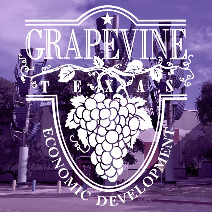 Growing Grapevine