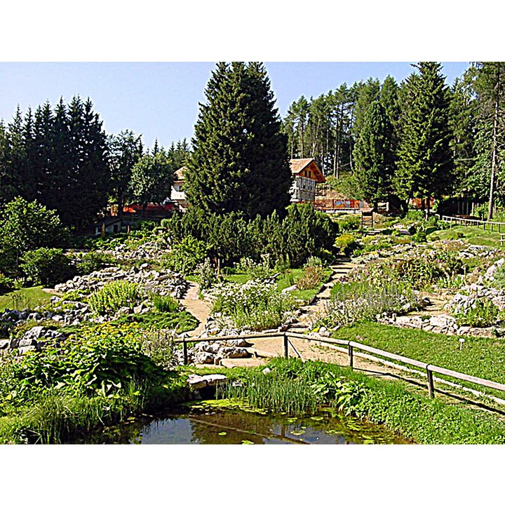 Giardino Botanico Alpino Le Viotte di Monte Bondone (Trentino Alto Adige)