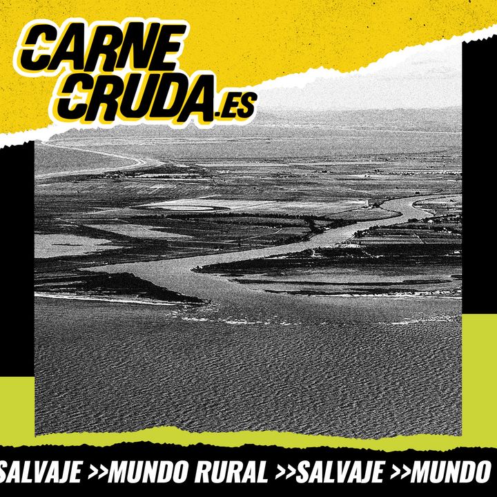 El Delta del Ebro se hunde: S.O.S cambio climático (SALVAJE - CARNE CRUDA #1212)