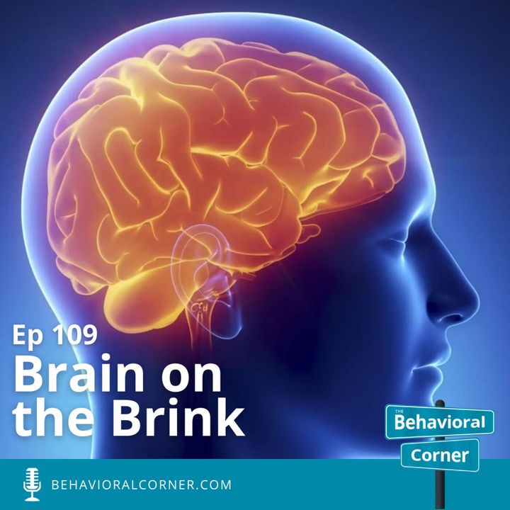 The Brain on the Brink - Dr. Sara Manning Peskin
