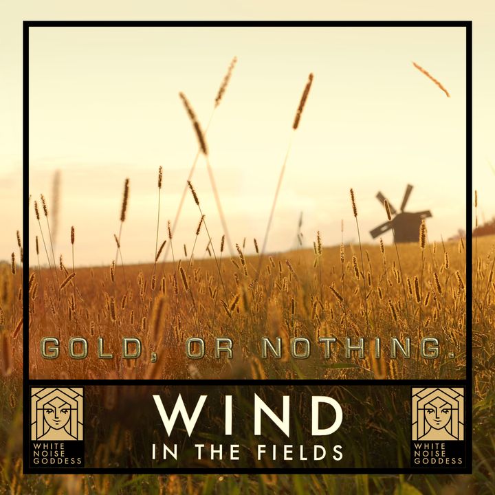 Wind In The Fields | White Noise | ASMR & Relaxation
