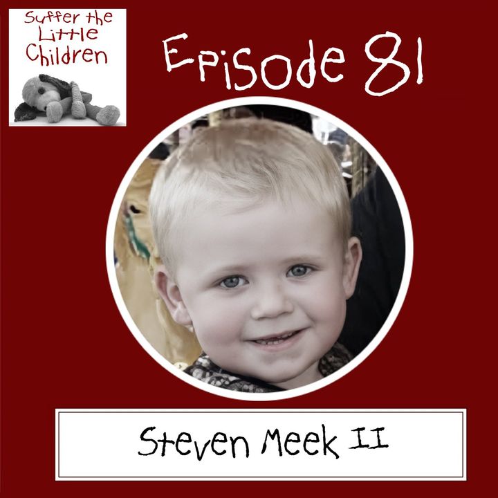 Episode 81 - Steven Meek II