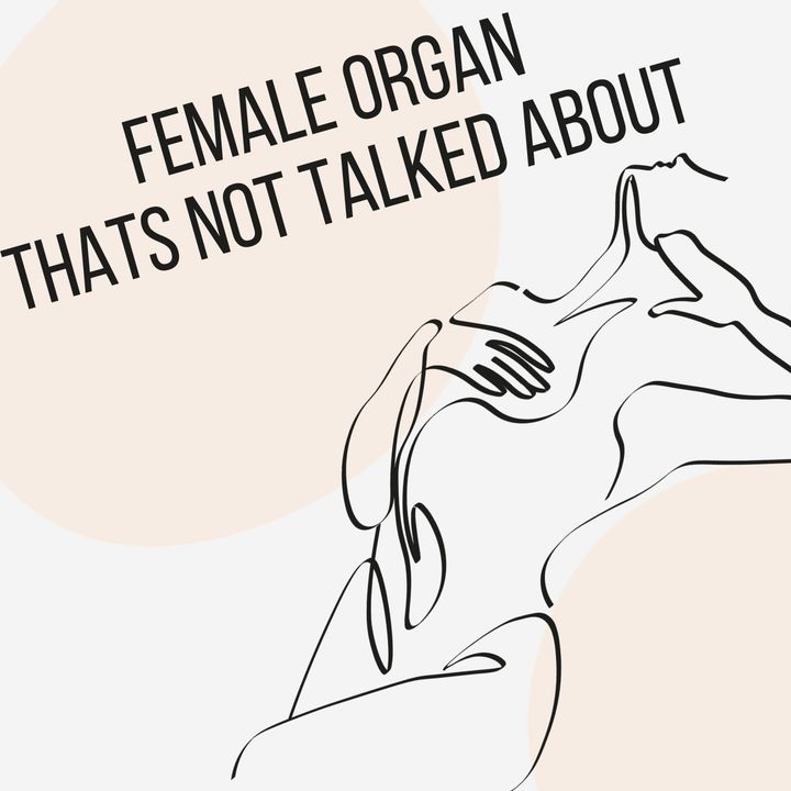 Female Sex Organs You Don't Know
