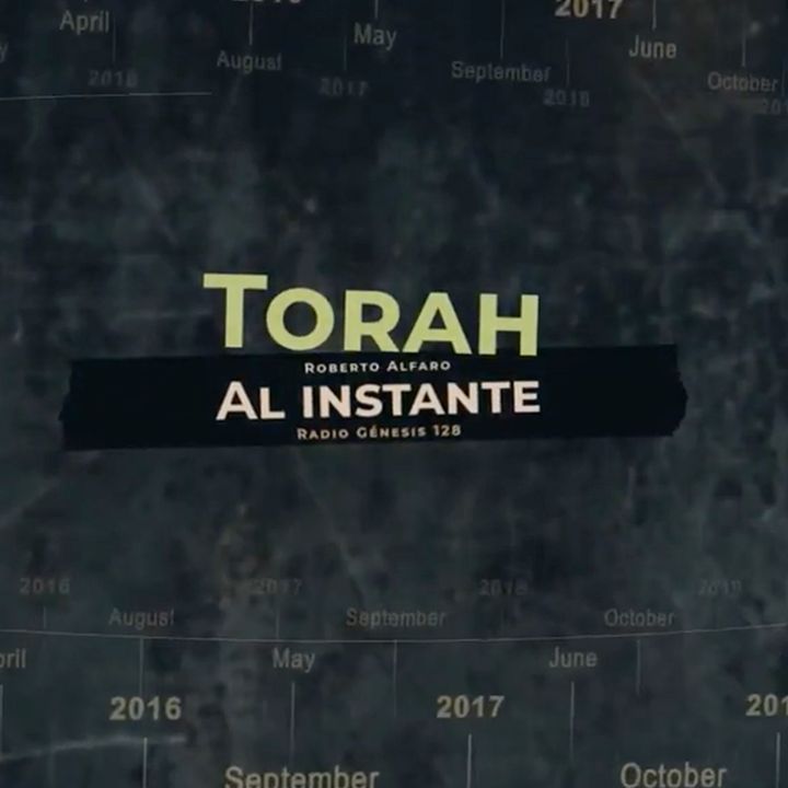 Como Estudiar la Torah Parte 1 - Torah al Instante