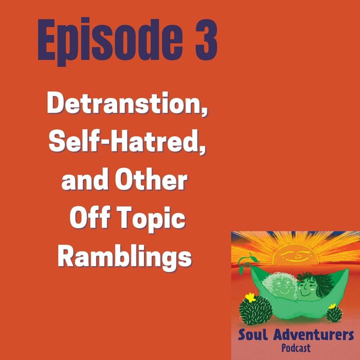 #3 Detransition, Self-Hatred and Other Off Topic Rants