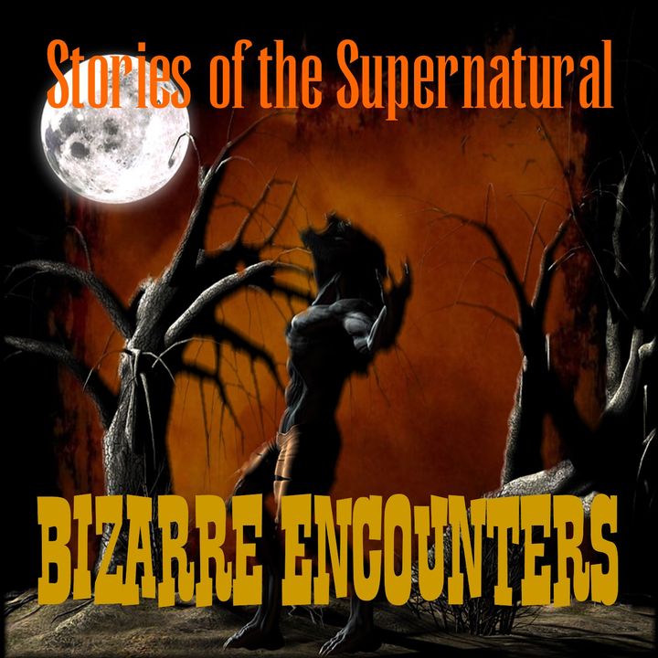 Bizarre Encounters | Interview with Lon Strickler | Podcast