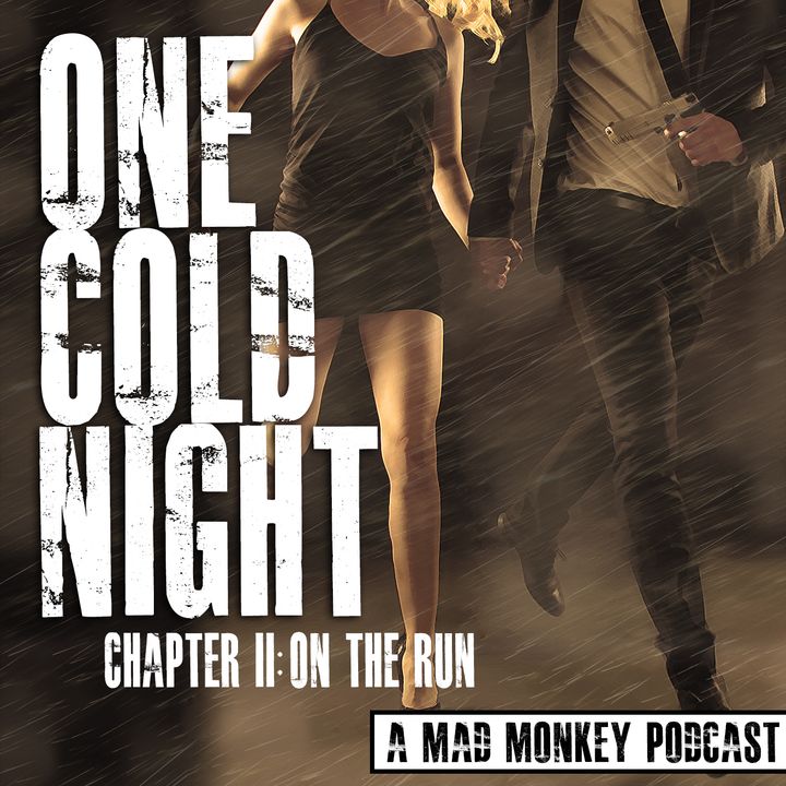 One Cold Night: Chapter II: On The Run