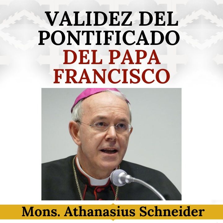 Declaración del Obispo Athanasius Schneider sobre la validez del pontificado del Papa Francisco.