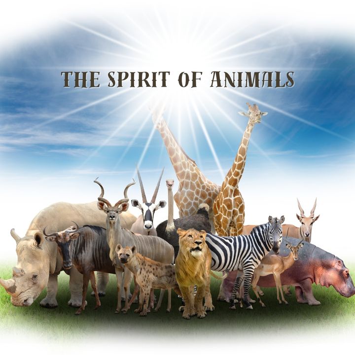 Episode 219- The Spirit of Animals