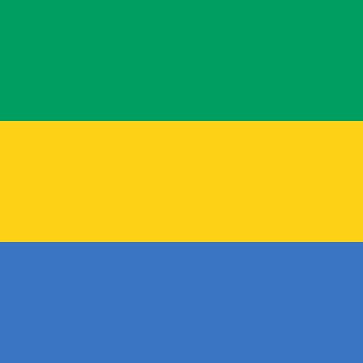 Coup d'état en cours au Gabon