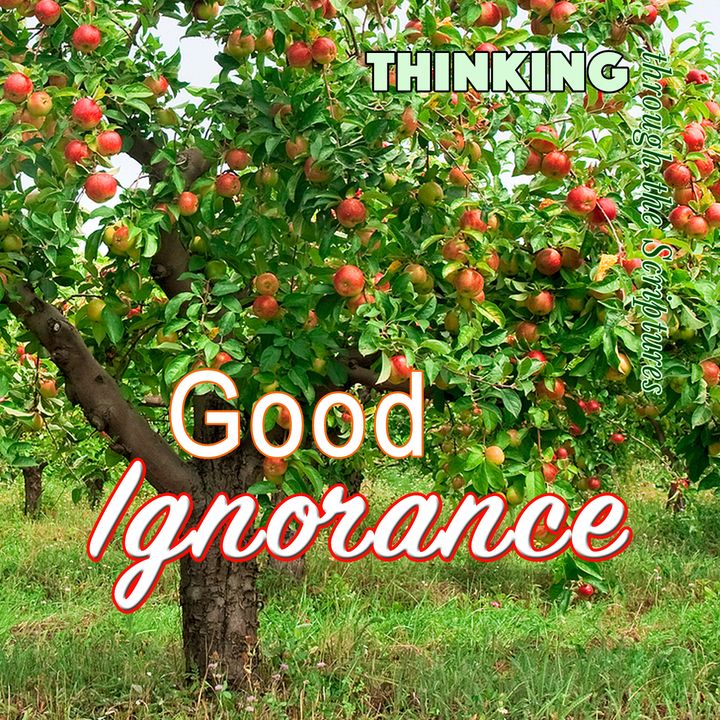 Good Ignorance (TTTS#20)