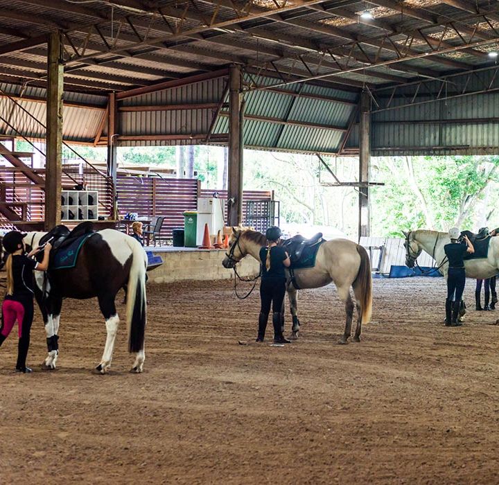 Horse Riding Lessons Brisbane