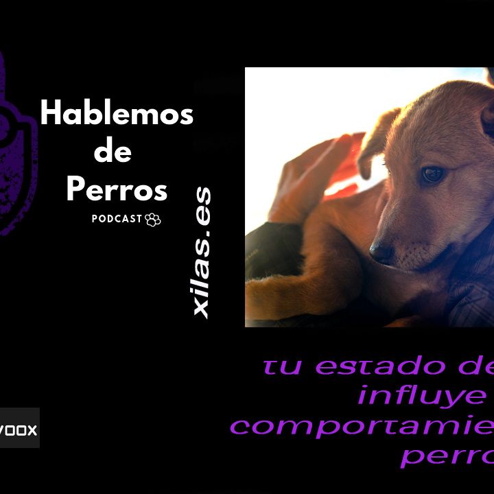 EPISODIO#105: Tu estado de ánimo influye en el comportamiento de tu perro.
