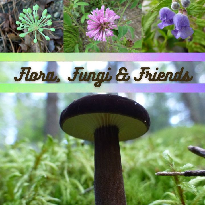 Flora, Fungi and Friends