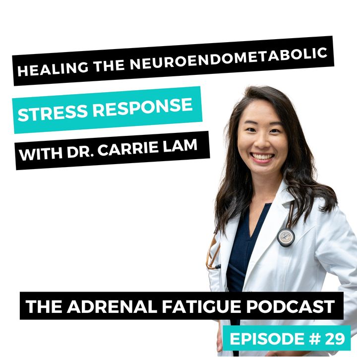 #29: Healing the NeuroEndoMetabolic (NEM) Stress Response with Dr. Carrie Lam