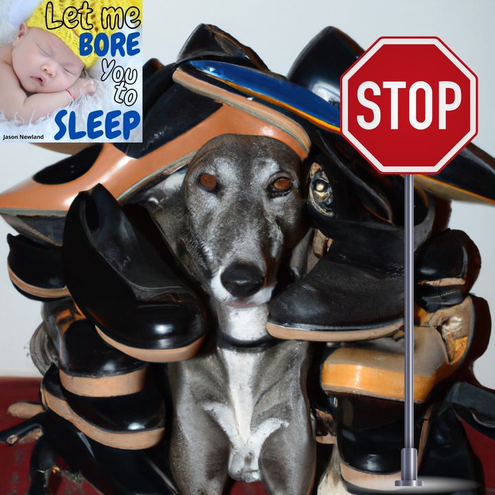 Why Does My Dog Sleep In My Shoes