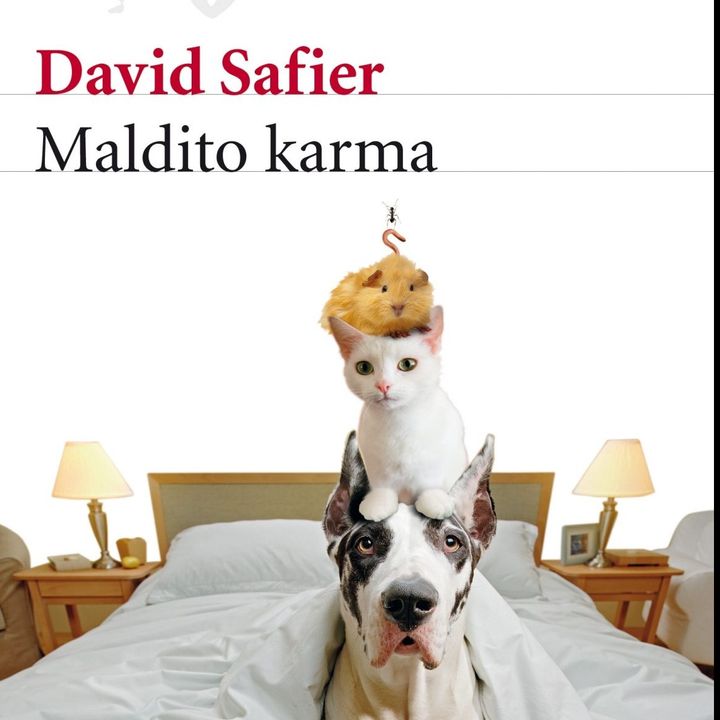 Maldito Karma, David Safier