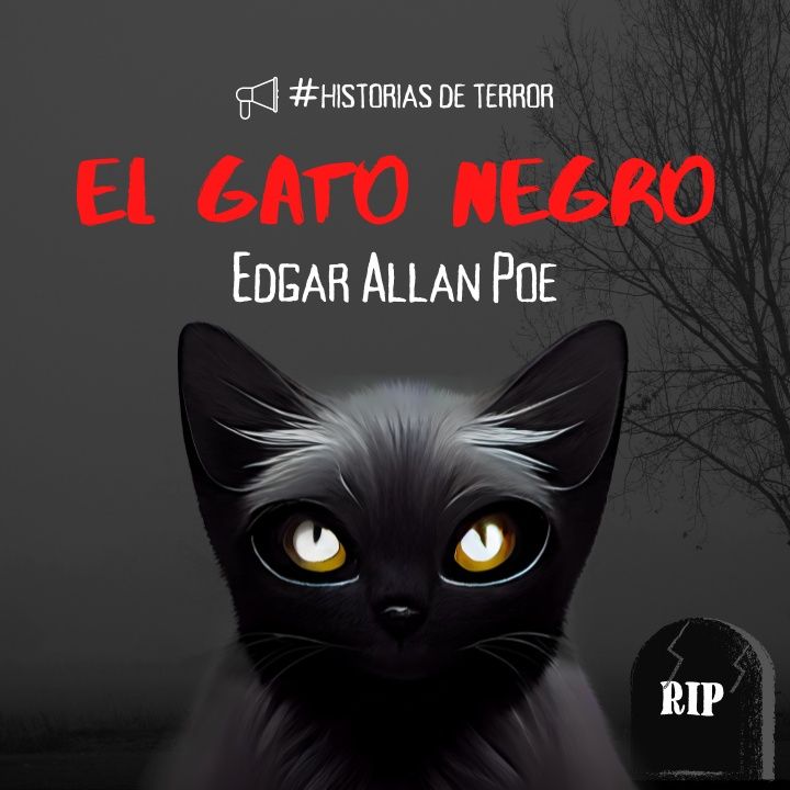 El gato negro (Edgar Allan Poe) | Cuento de Terror 5