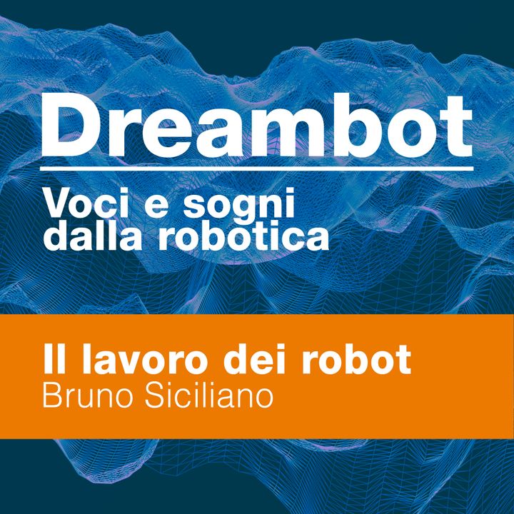 Il lavoro dei robot - Bruno Siciliano