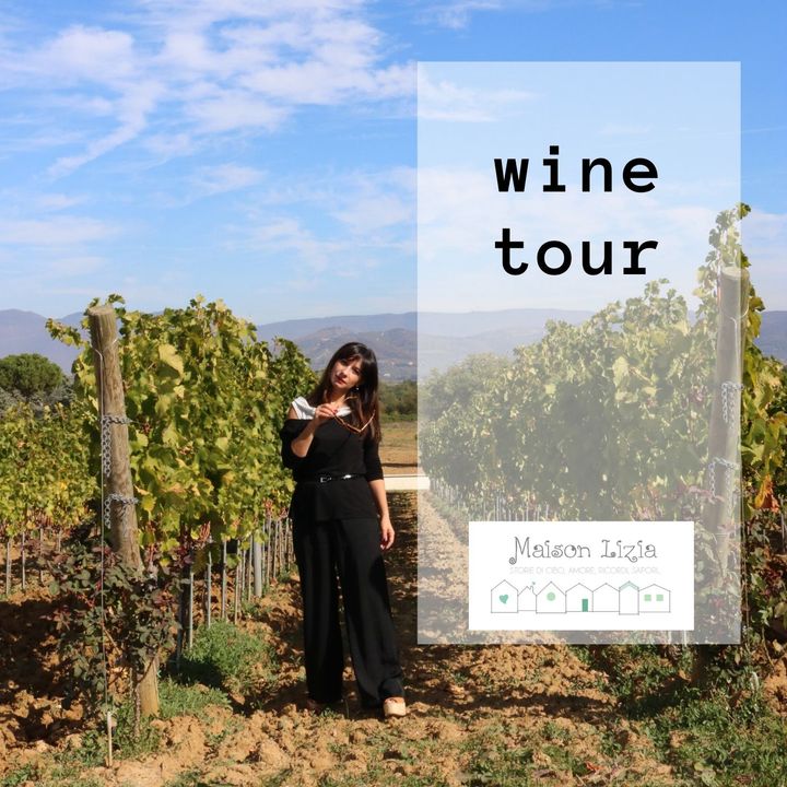 Wine tour: viaggio nel mondo del vino