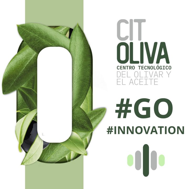 Citoliva Go Innovation
