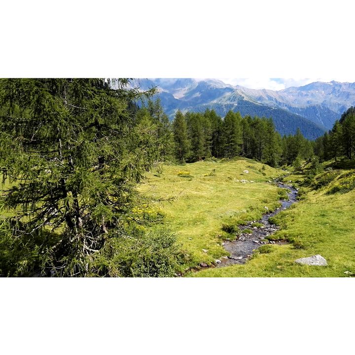 La Val Comasine valle dei “patriarchi verdi” (Trentino Alto Adige)