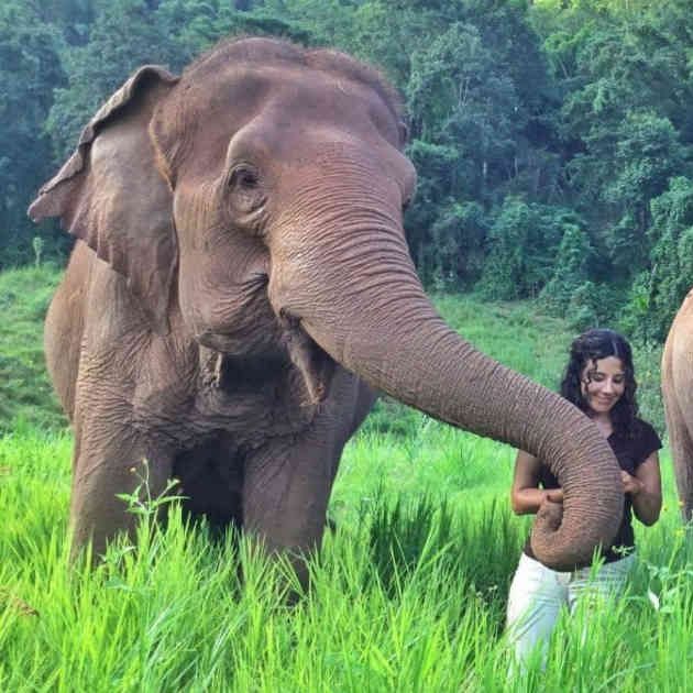 La colombiana que libera elefantes en Tailandia