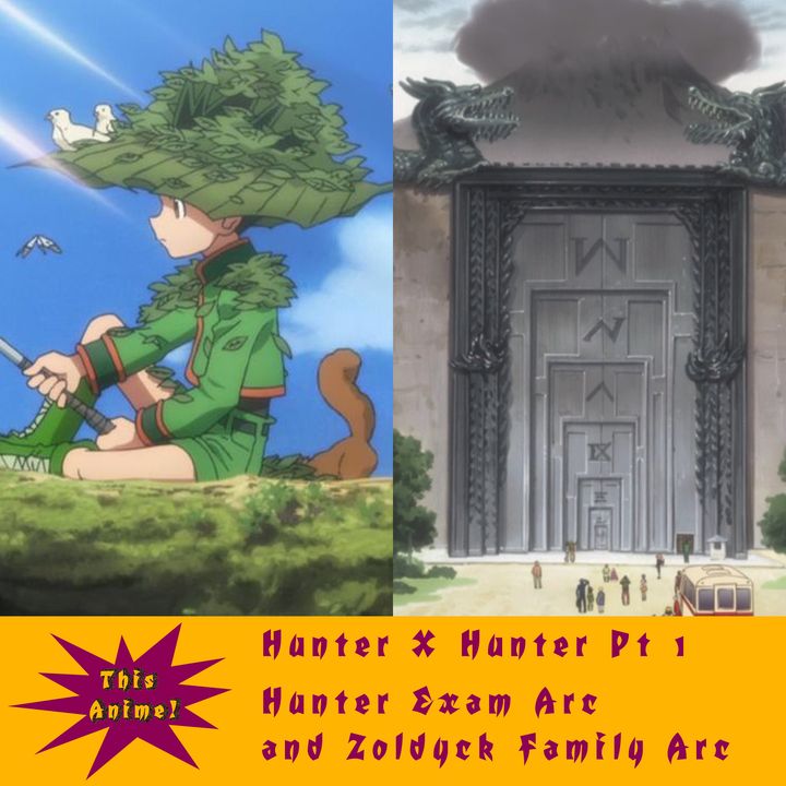 Hunter X Hunter 2011 Pt 1 (Hunter Exam and Zoldyck Family Arcs)