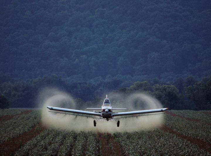 Pesticidi, nei campi USA 146 mila tonnellate di "sostanze proibite”