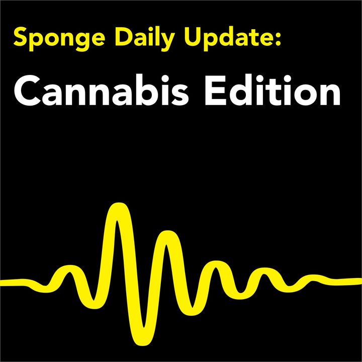 Sponge Daily Update:  Cannabis