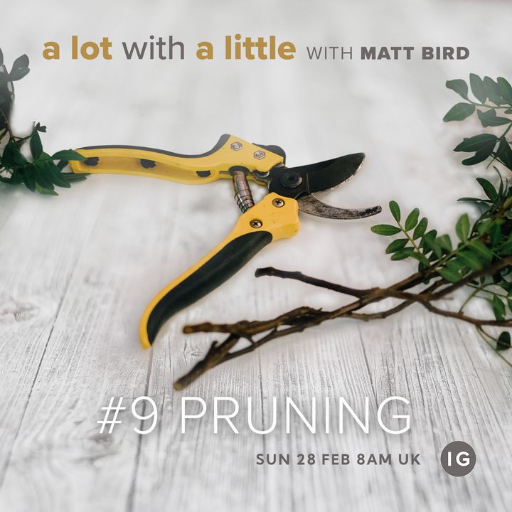 A Lot With A Little #9: PRUNING - growing through challenges and pain