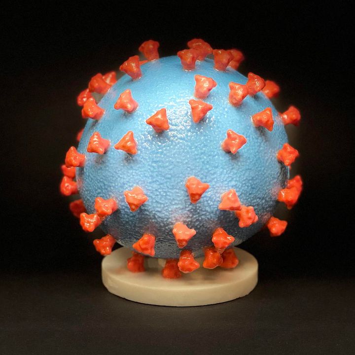 Come il coronavirus invade l'organismo