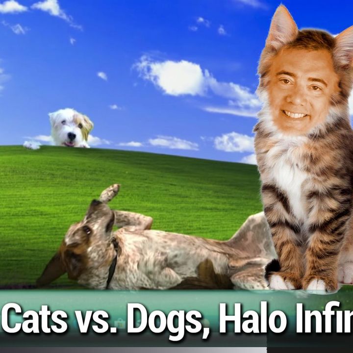 WW 702: It's a Cat-Eat-Dog World - Cats vs. Dogs, Android on Windows, Halo Infinite