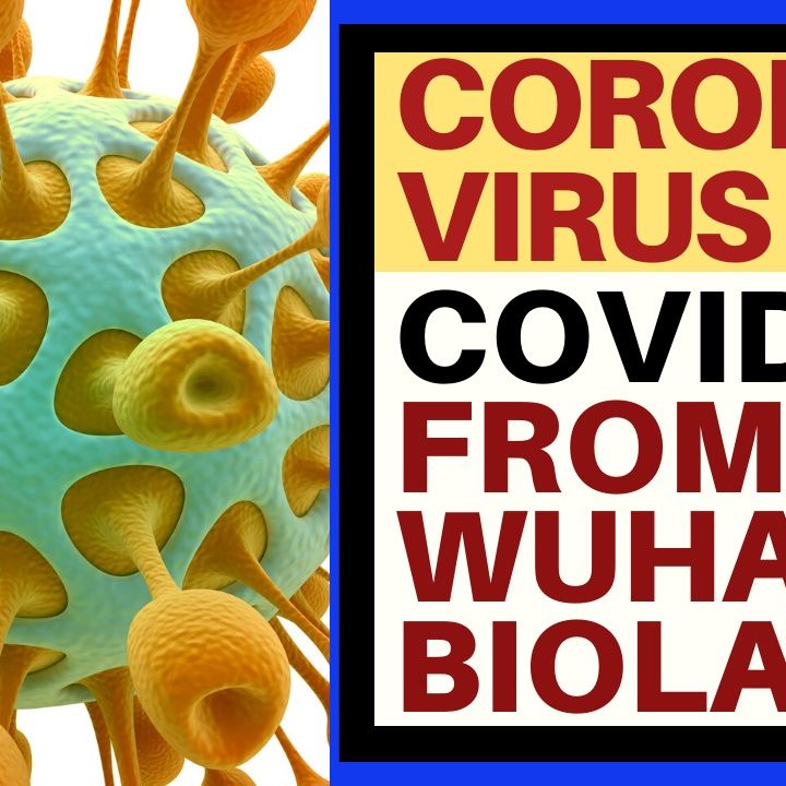 DID THE CORONAVIRUS COME FROM A CHINESE BIOLAB?