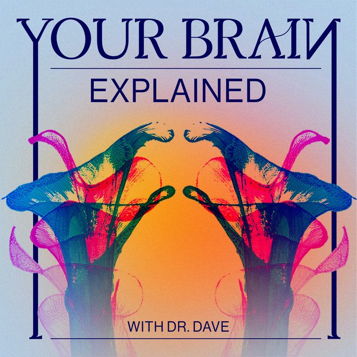 Your Brain Explained
