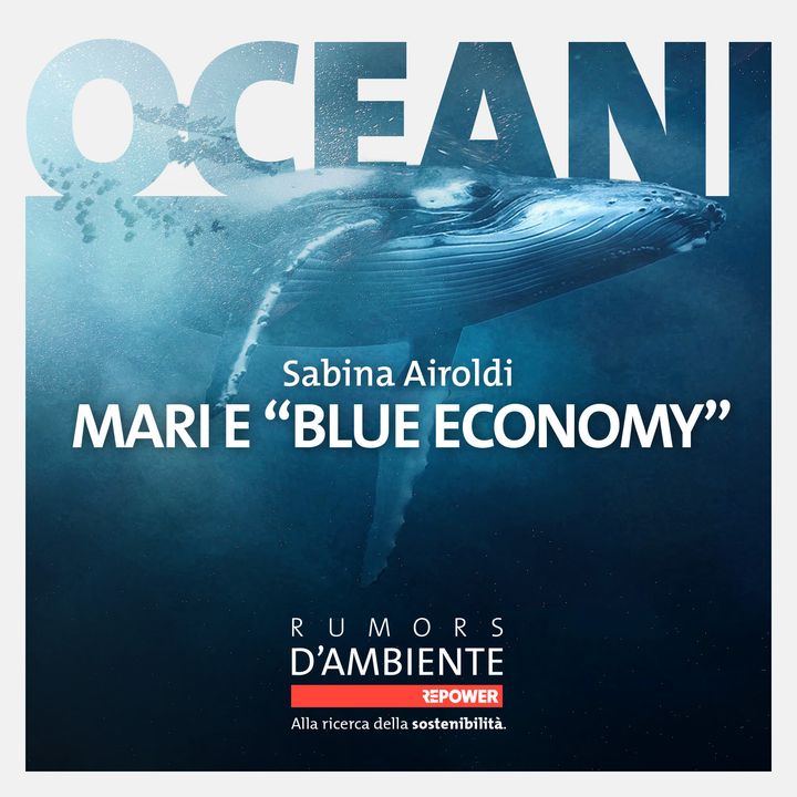 Sabina Airoldi - Mari e "blue economy"