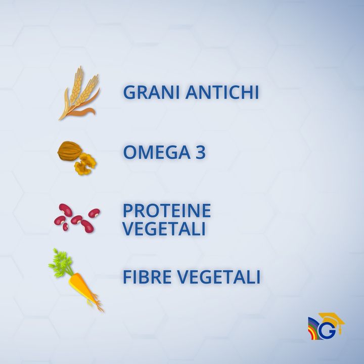 3. Intestino, batteri e cibo quali alimenti sono indicati per il benessere intestinale