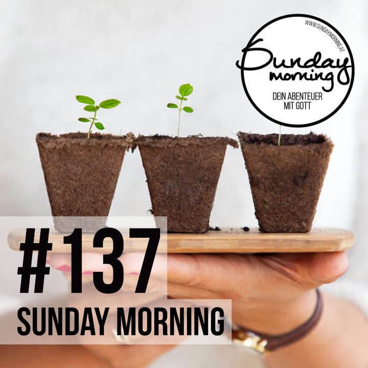PLANT | SAAT UND ERNTE - Sunday Morning #137