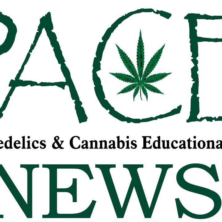 Psychedelics & Cannabis Educational News - January 8, 2024 with Rev Kelly & Al