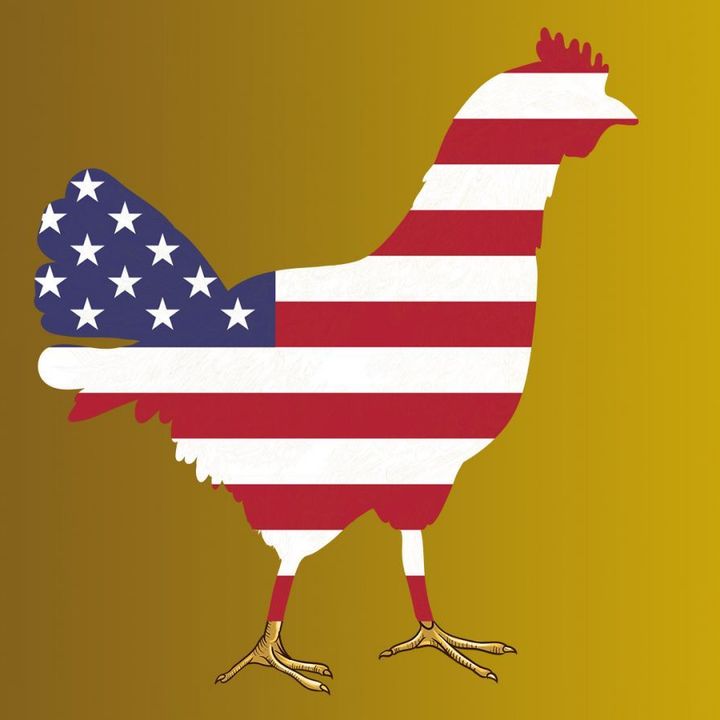 This Week in Tech 786: The Chickenization of America