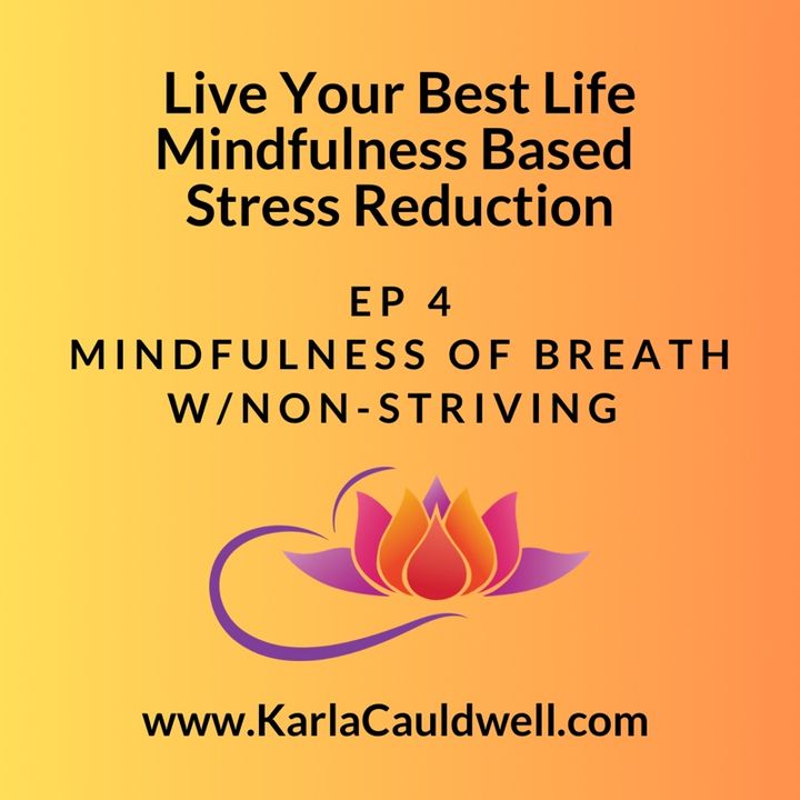 10 Minute Mindfulness of Breath